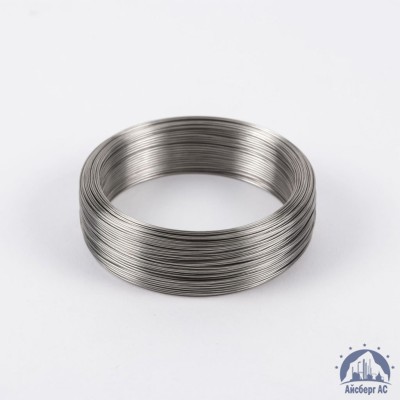 Проволока вязальная 0,3 мм ТН-С ГОСТ 3282-74 купить в Алматы