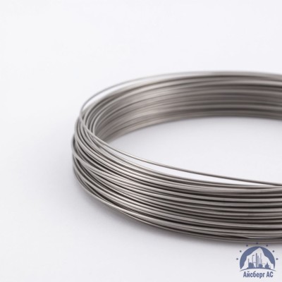 Проволока вязальная 2 мм ТН-С ГОСТ 3282-74 купить в Алматы