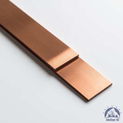 Полоса медная 100х10 мм М1Т ГОСТ 434-78 купить в Алматы