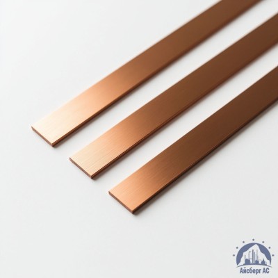 Полоса медная 100х10 мм ШМТ ГОСТ 434-78 купить в Алматы