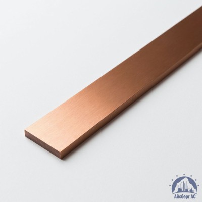 Полоса медная 100х12 мм М1М ГОСТ 434-78 купить в Алматы