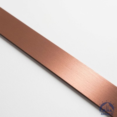 Полоса медная 100х12 мм М1Т ГОСТ 434-78 купить в Алматы