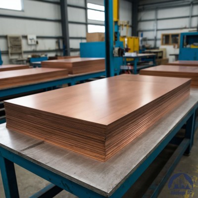 Плита бронзовая 12х600х1500 мм БРХЦР купить в Алматы