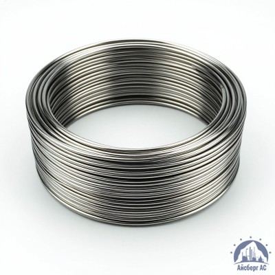 Проволока круглая 0,2-П-2-55 ГОСТ 3875-83 купить в Алматы