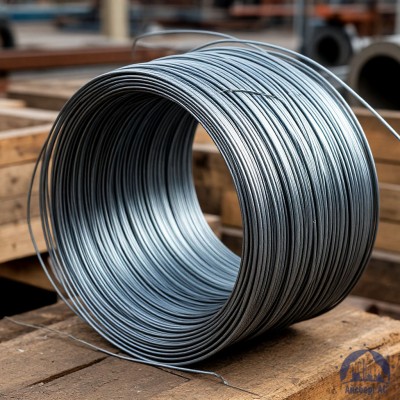 Проволока   1-1-25 ГОСТ 5663-79 купить в Алматы