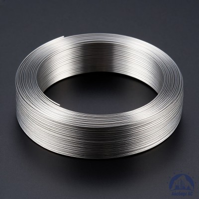 Проволока титановая 0,8 мм ВТ20-2СВ ГОСТ 27265-87 купить в Алматы