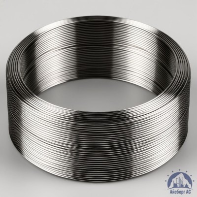 Проволока титановая 1,6 мм ВТ6 ГОСТ 27265-87 купить в Алматы