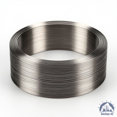 Проволока титановая 2 мм 2В купить в Алматы