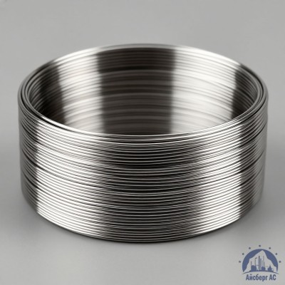 Проволока титановая 4 мм 2В купить в Алматы