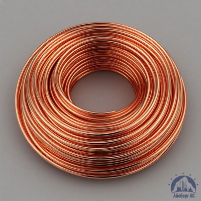 Проволока сварочная ДКРХМ 2,5 БТ МСр1 ГОСТ 16130-90 купить в Алматы