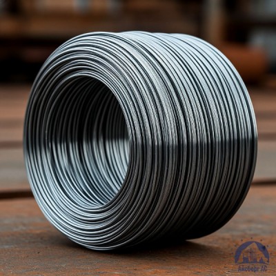 Проволока   1-П-2-10 ГОСТ 5663-79 купить в Алматы