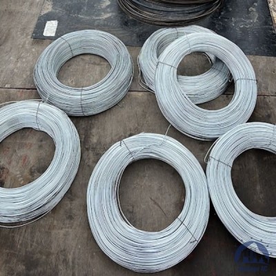 Проволока 0,3-Х15Н60 ГОСТ 8803-89 купить в Алматы