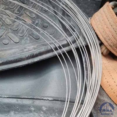 Проволока 0,3-Х20Н80-ВИ ГОСТ 8803-89 купить в Алматы