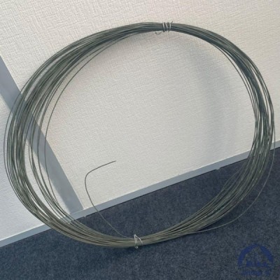 Проволока 0,36-Х20Н80 ГОСТ 8803-89 купить в Алматы