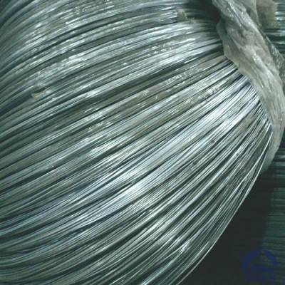 Проволока 0,2-Х20Н80-ВИ ГОСТ 8803-89 купить в Алматы