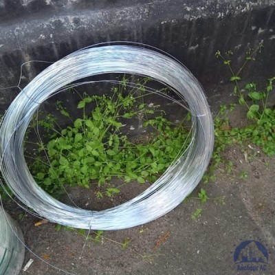 Проволока 0,25-Н80ХЮД-ВИ ГОСТ 8803-89 купить в Алматы