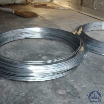 Проволока 0,3-Н80ХЮД-ВИ ГОСТ 8803-89 купить в Алматы