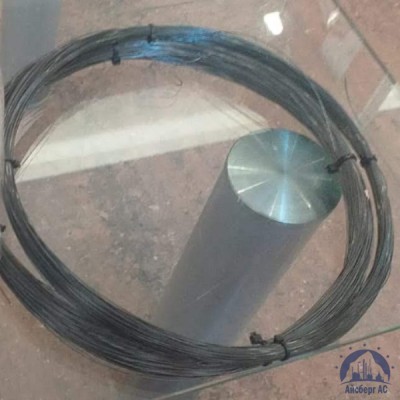 Проволока 0,32-20пс ГОСТ 17305-91 купить в Алматы