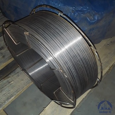 Проволока 0,3 Св-07Х19Н10Б ГОСТ 2246-70 купить в Алматы